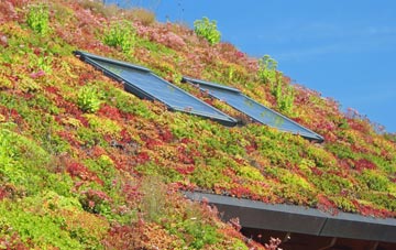 Packmoor living roof systems