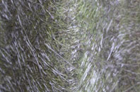 Packmoor fibreglass roof work